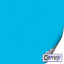 Виниловая пленка KPMF K89063